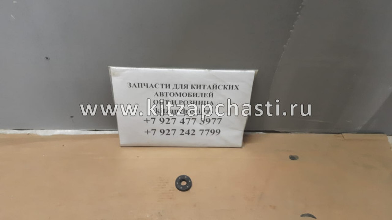Сальник балансира Haval H9 1002500XEC01