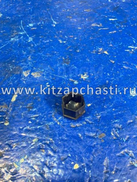 Колпачок болта колесного  Great Wall Poer 3101019XKW09A