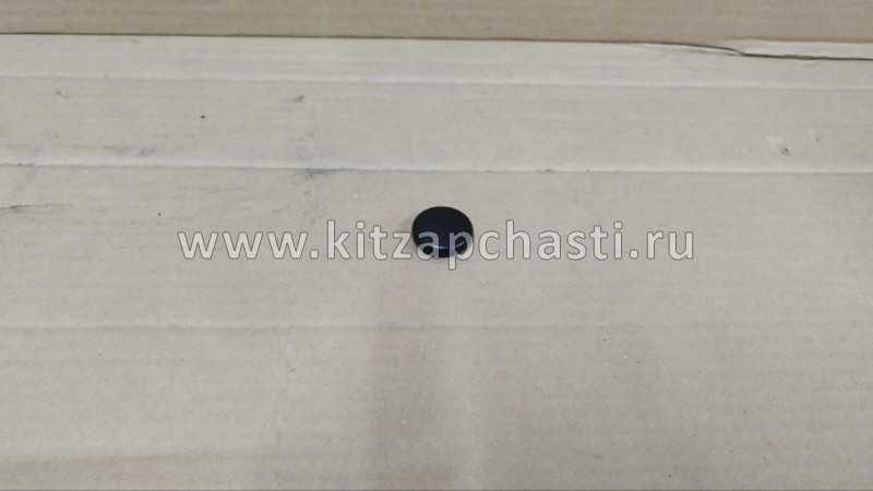 ЗАГЛУШКА РЫЧАГА СТЕКЛООЧИСТИТЕЛЯ GEELY MONJARO KX11 6020529100